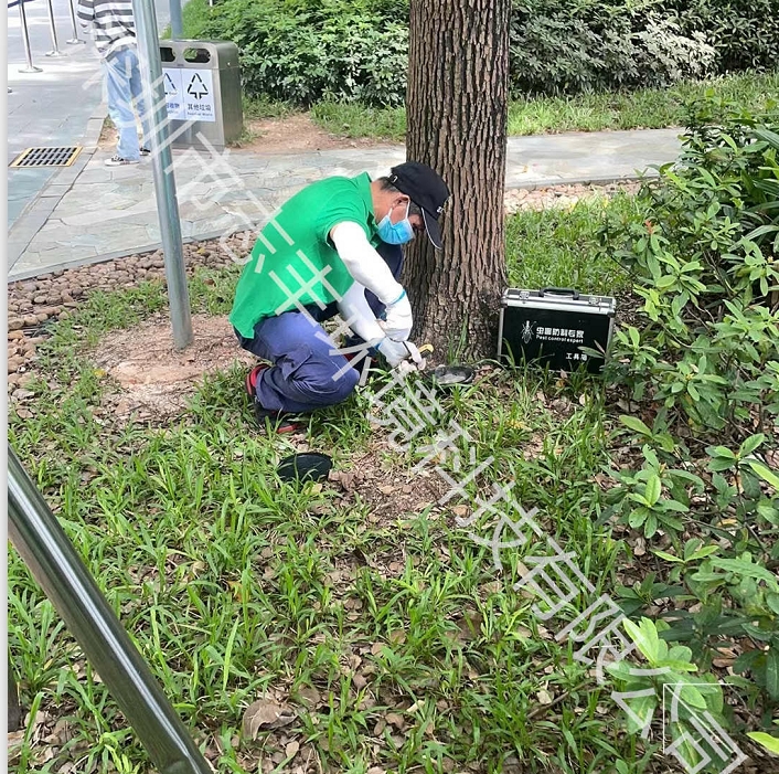 专业白蚁防治消杀服务办法有哪些呢一