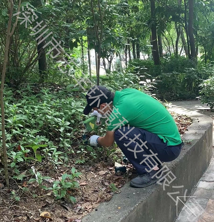 深圳夏天蚊子多要怎么防范比较好呢一