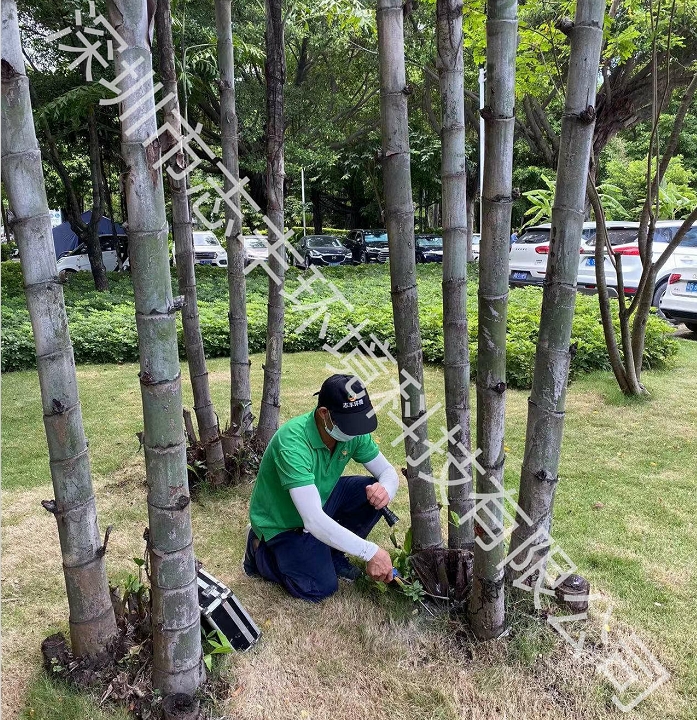 深圳工厂白蚁防治